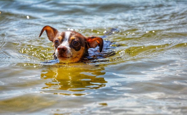 The beginner's guide to real estate syndication